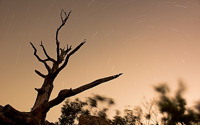 별이 흐르는 밤에~