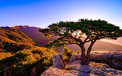 팔공산