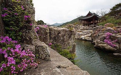화림계곡의 봄