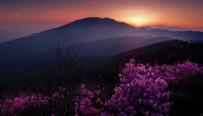 노고단의 어느봄날 아침 빛 - 지리산