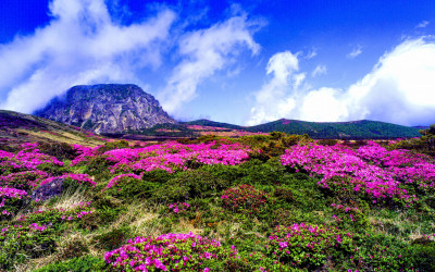 한라산