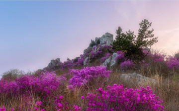 봄을 - 덕룡산(주작산)