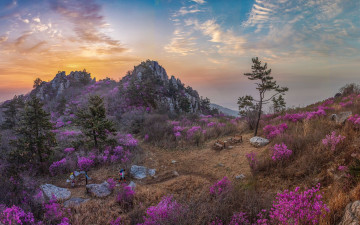 깨어나는 주작산 - 덕룡산(주작산)