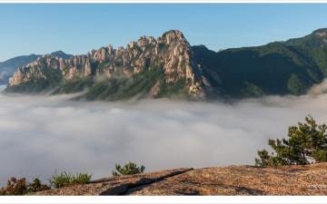 흐르는 강이라고