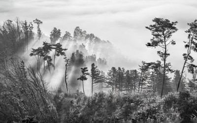 현란한 색에서 벗어 나고픈