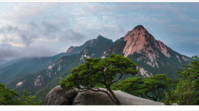 Image 128788
