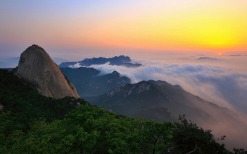 작품이든, 그냥 올리는 이미지 든