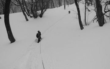 울릉도 나리분지