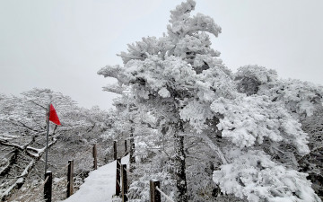 2025 한라산 첫눈