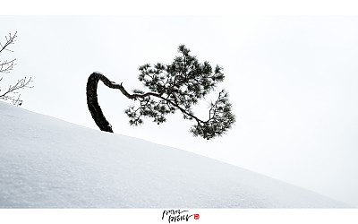 도봉산  설경...