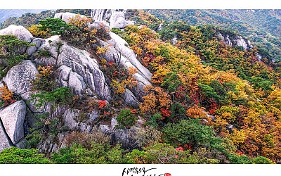 도봉산  추경..