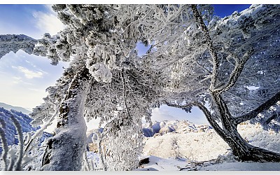 아름다운 풍경