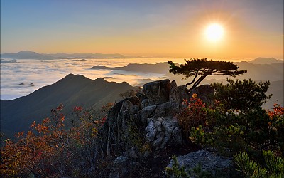 대둔산의 가을
