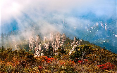 용아릉의 가을