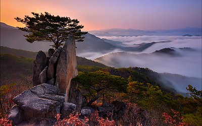 외솔봉