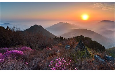 천주산의 봄