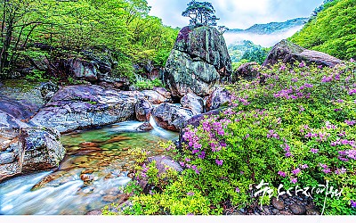 지리산의 봄