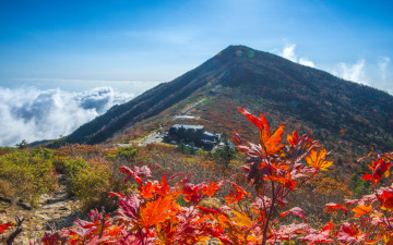 미리가 본 설악산
