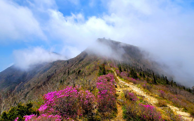 설악산 한바퀴