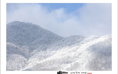 깃대봉상고대