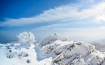 상고대가 핀 산정