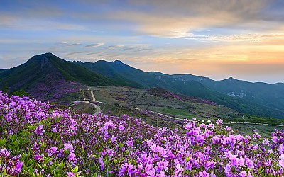 황매산