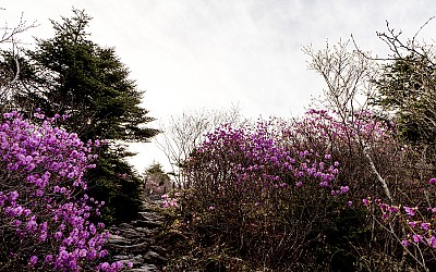 지리산 산문이 열리던 날