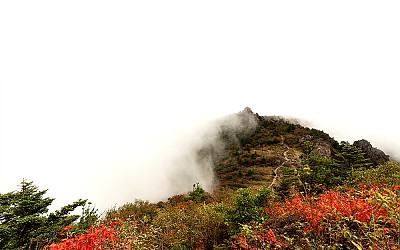 연화선경