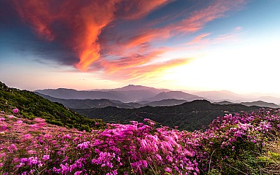 황매산