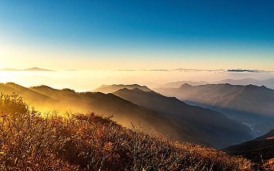 연타석 곰직이산