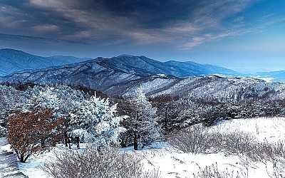 바래봉