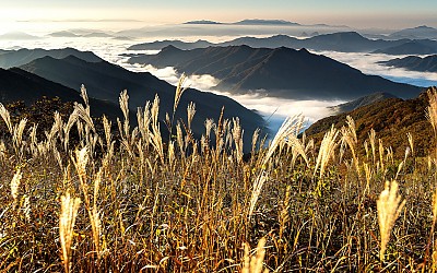 운장산 가을
