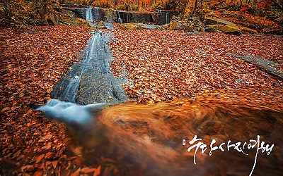 아름다운 이별