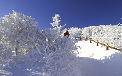사진속 남자 알아맞추기