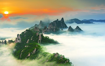 공룡의 빛과운해바다