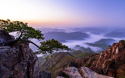 대둔산 소낭구