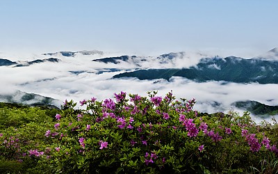 운해바다 고리봉