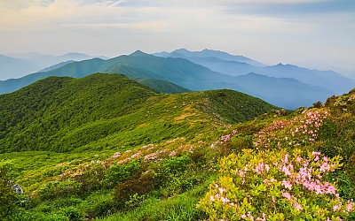 덕유의 봄