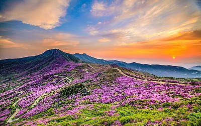 황매산의 아침풍경