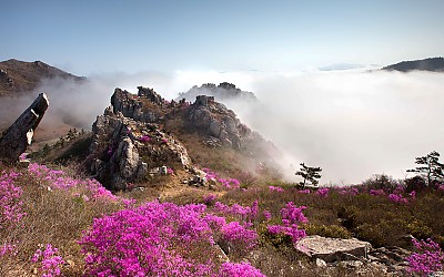 주작산