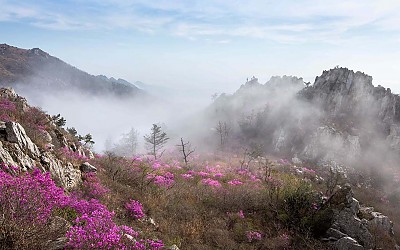 주작산