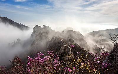 주작산2