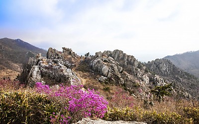 주작산
