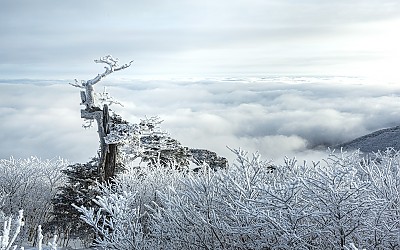 태백설경