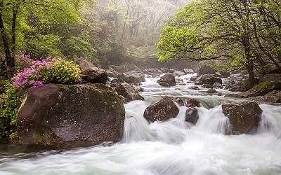 지리산