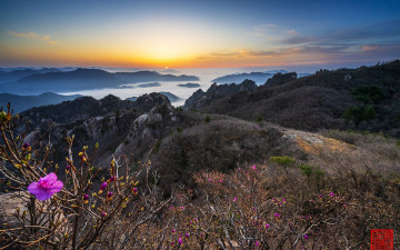 속리산 일출 - 속리산