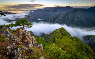 제비봉의 아침 운해