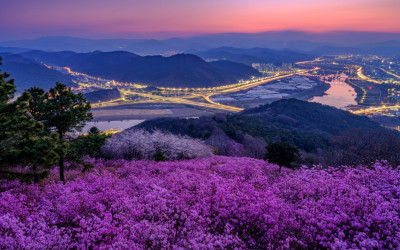 와룡산