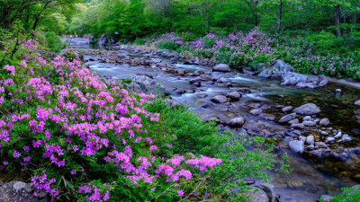 Image 128854