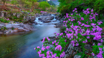 Image 128785